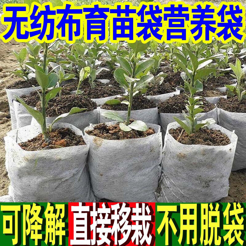 d5e6079b28