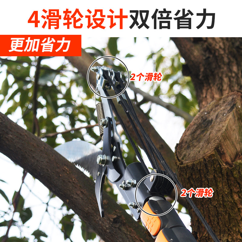 55d258a489