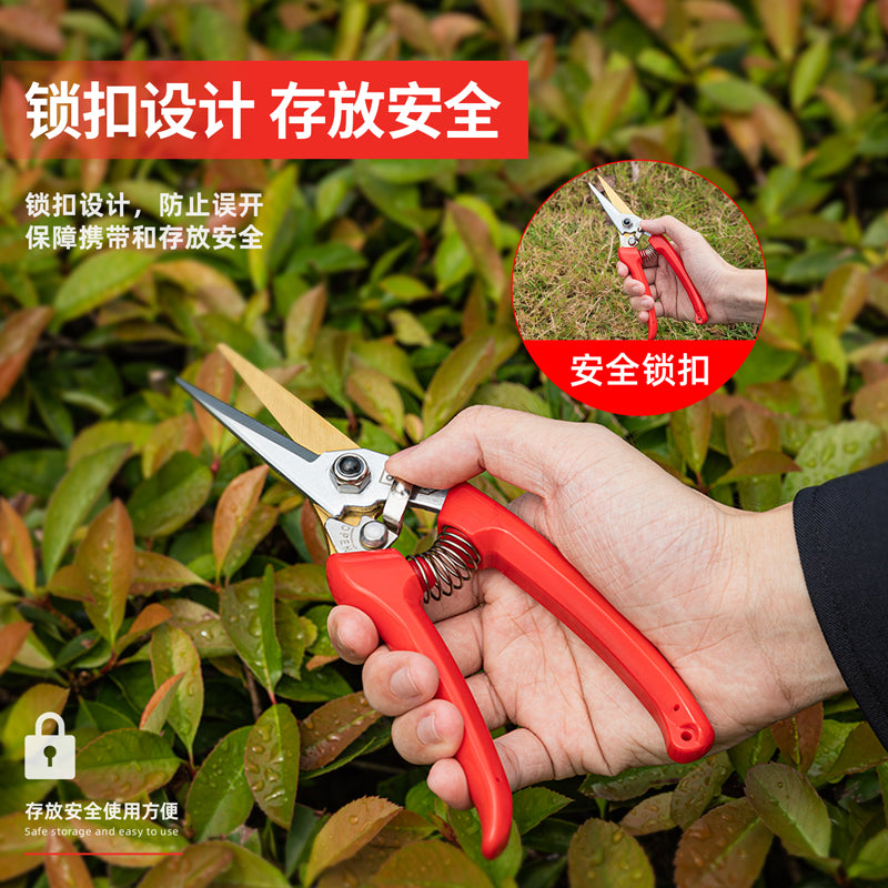 d83a21202f