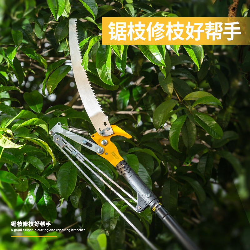ef736ccf57