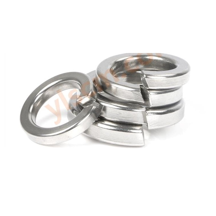 YL stainless steel spring washers 